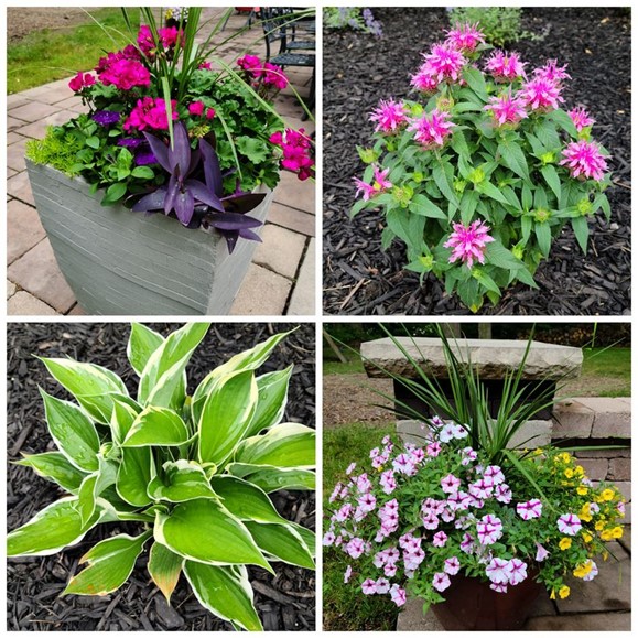 Use in-ground and potted plants for front yard landscaping in Northeast Ohio