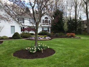 Put down brand new mulching for front yard landscaping in Northeast Ohio