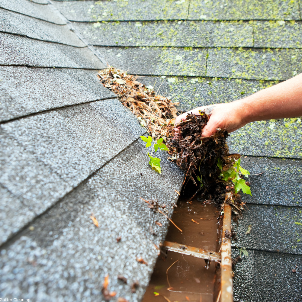 gutter cleaning willowick ohio